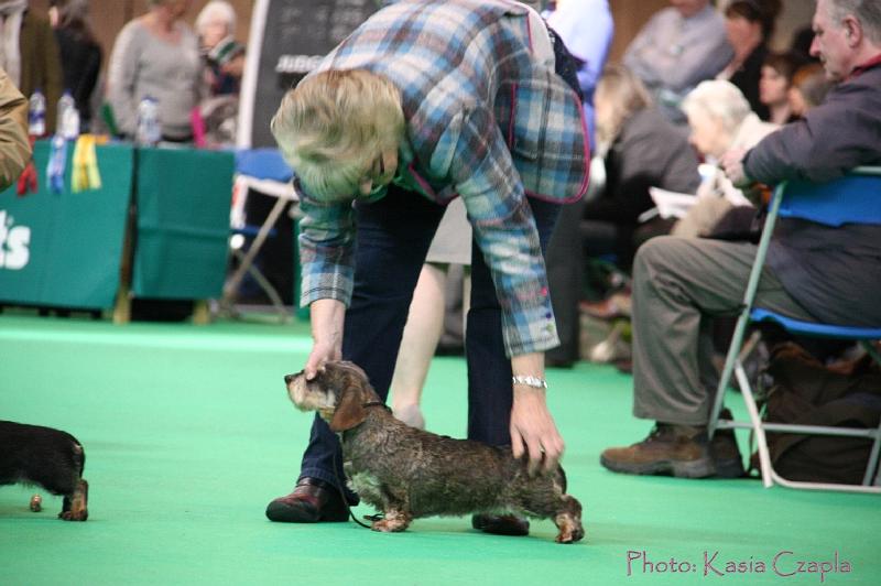 Crufts2011_2 985.jpg